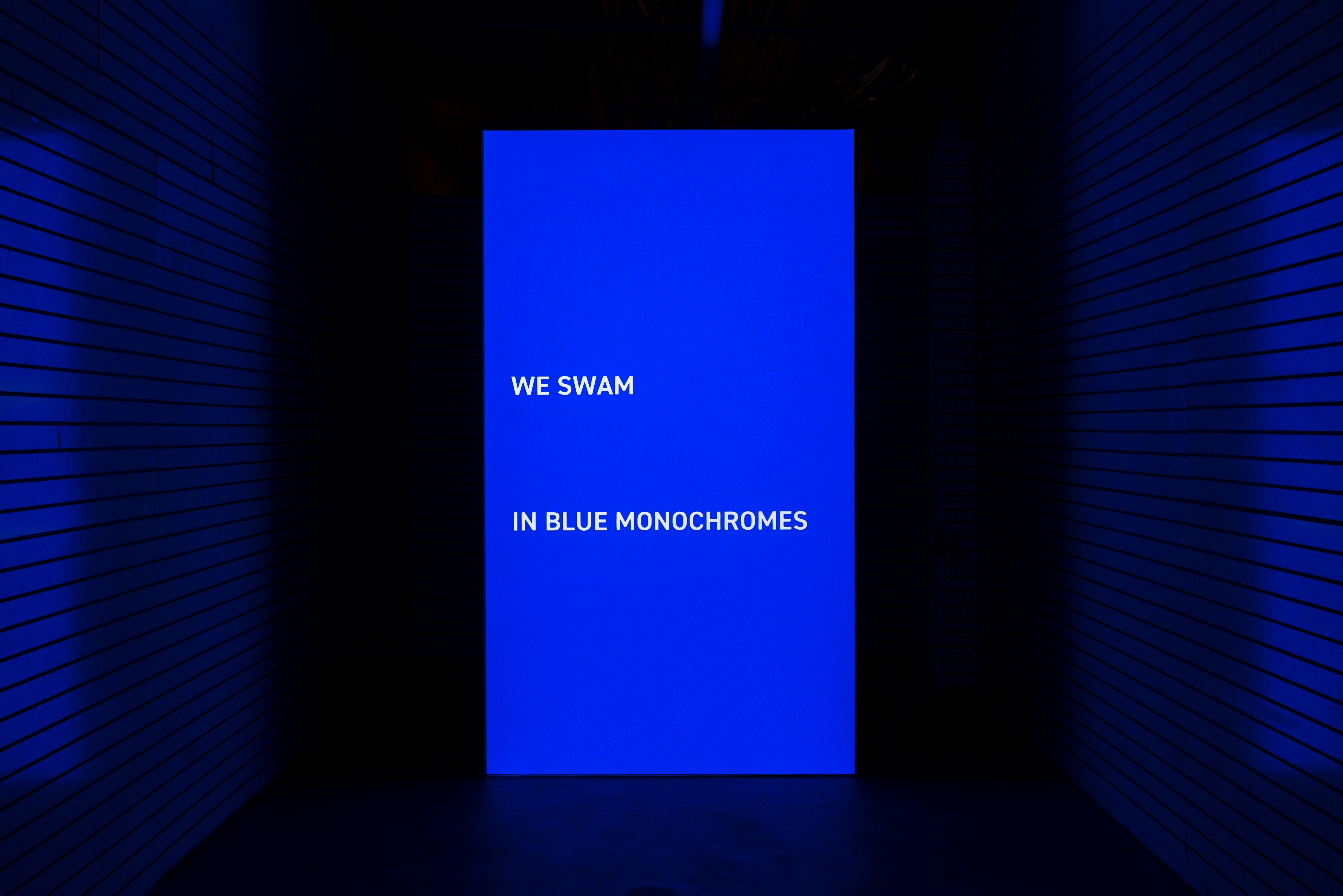 Supernovel - Image 3